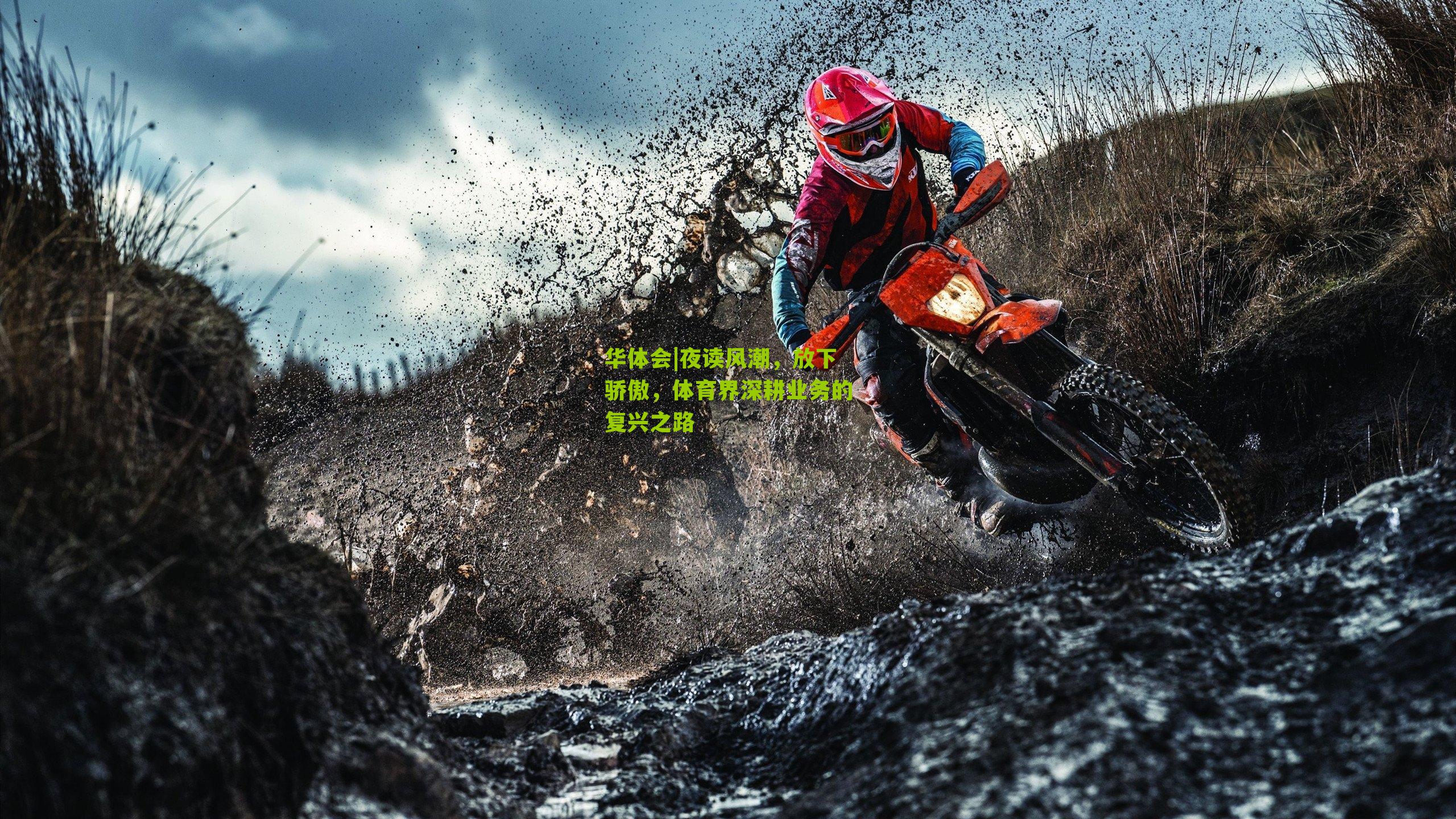 夜读风潮，放下骄傲，体育界深耕业务的复兴之路