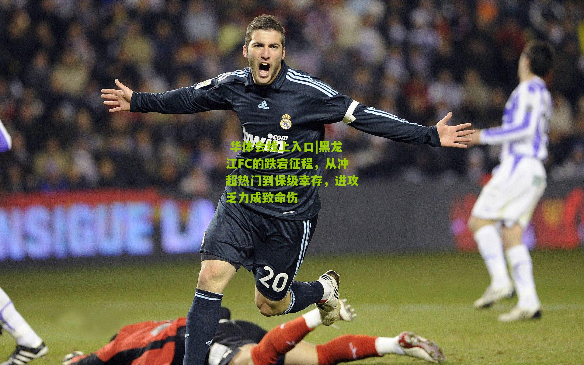  华体会线上入口|黑龙江FC的跌宕征程，从冲超热门到保级幸存，进攻乏力成致命伤